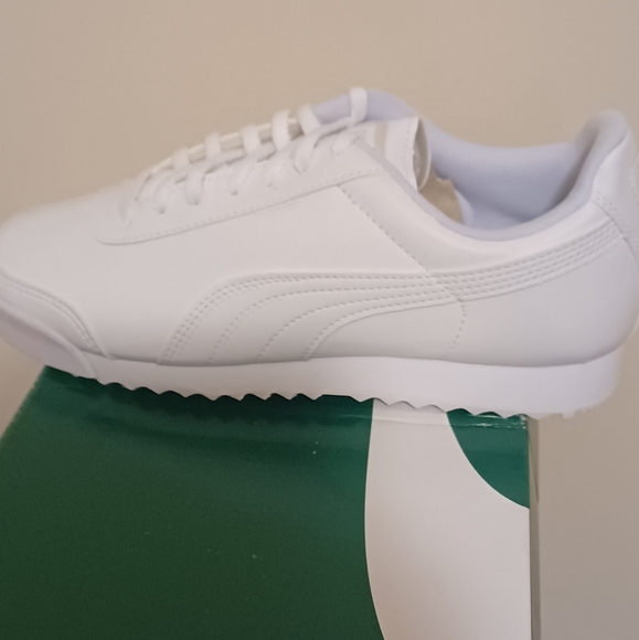 Sho - Picture 2 of 3